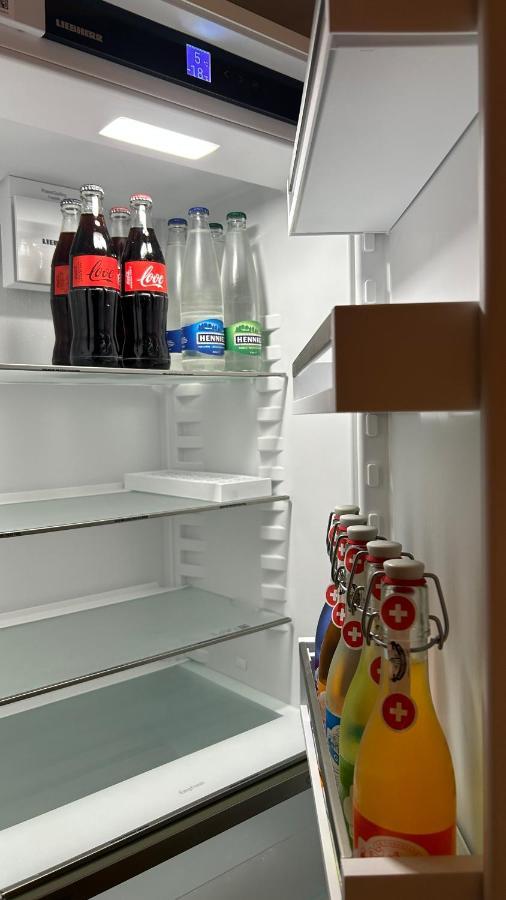 A Hilarious Hideaway In Roveredo Apartment Ngoại thất bức ảnh